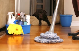 التنظيف المنزلي اليومي 