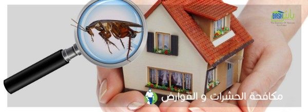 باش لإدارة المرافق - مكافحة الحشرات والقوارض