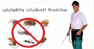 مكافحة الحشرات و القوارض بأحدث الطرق و المعدات 