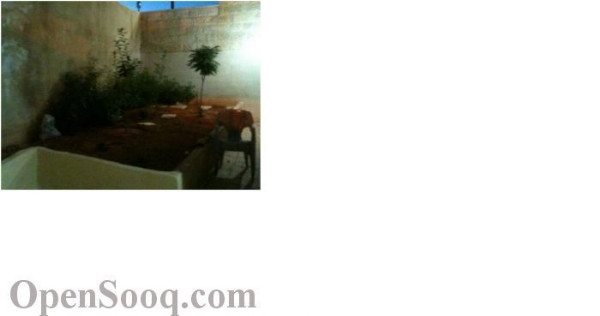  شقة فاخرة ومميزة للبيع بسعر مغري جدا مع مساحة حديقة كبيرة جدا  عمان 