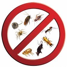 مكافحة الحشرات و القوارض بأحدث الطرق